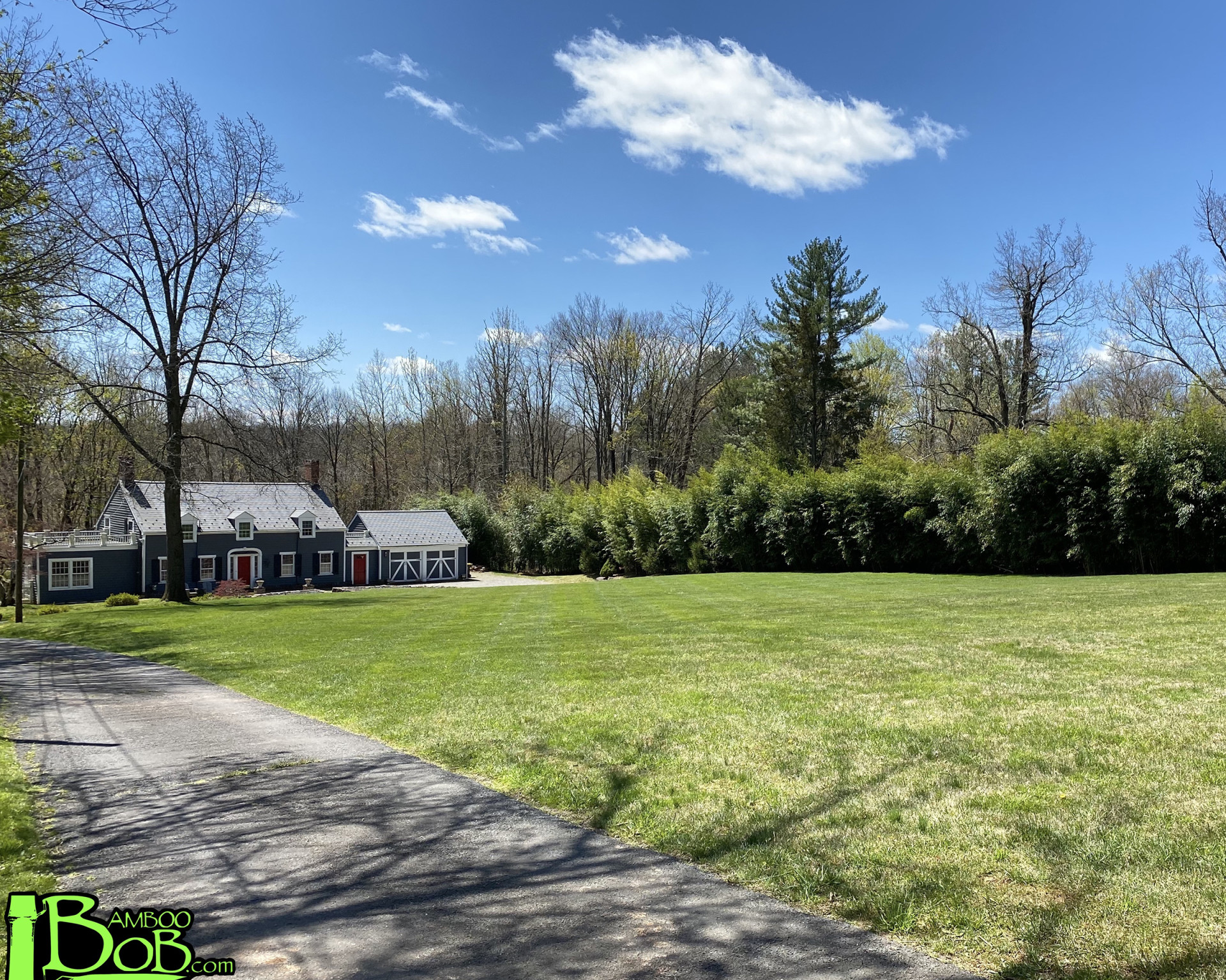 Martinsville Hedge Cover Photo