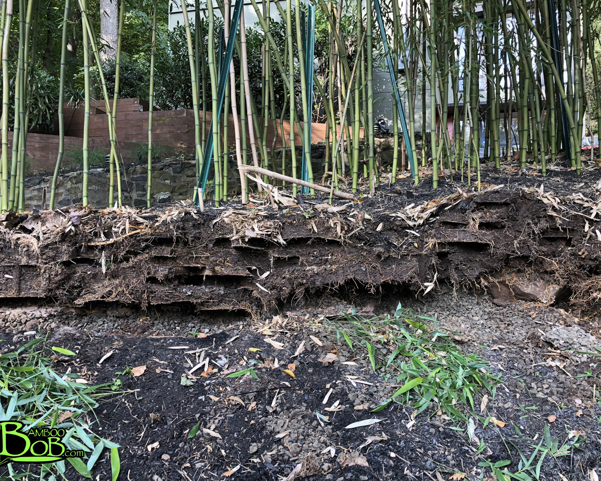 Upper Montclair, NJ Cover Photo