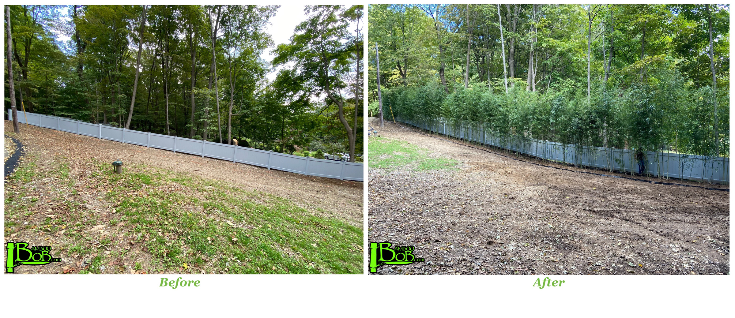 Byram Twp, NJ - Before + After