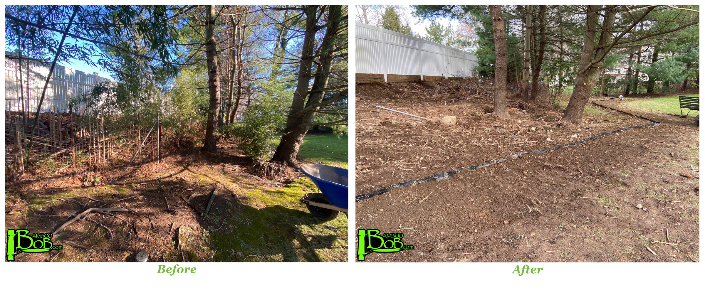 Hillsdale, NJ - Before + After