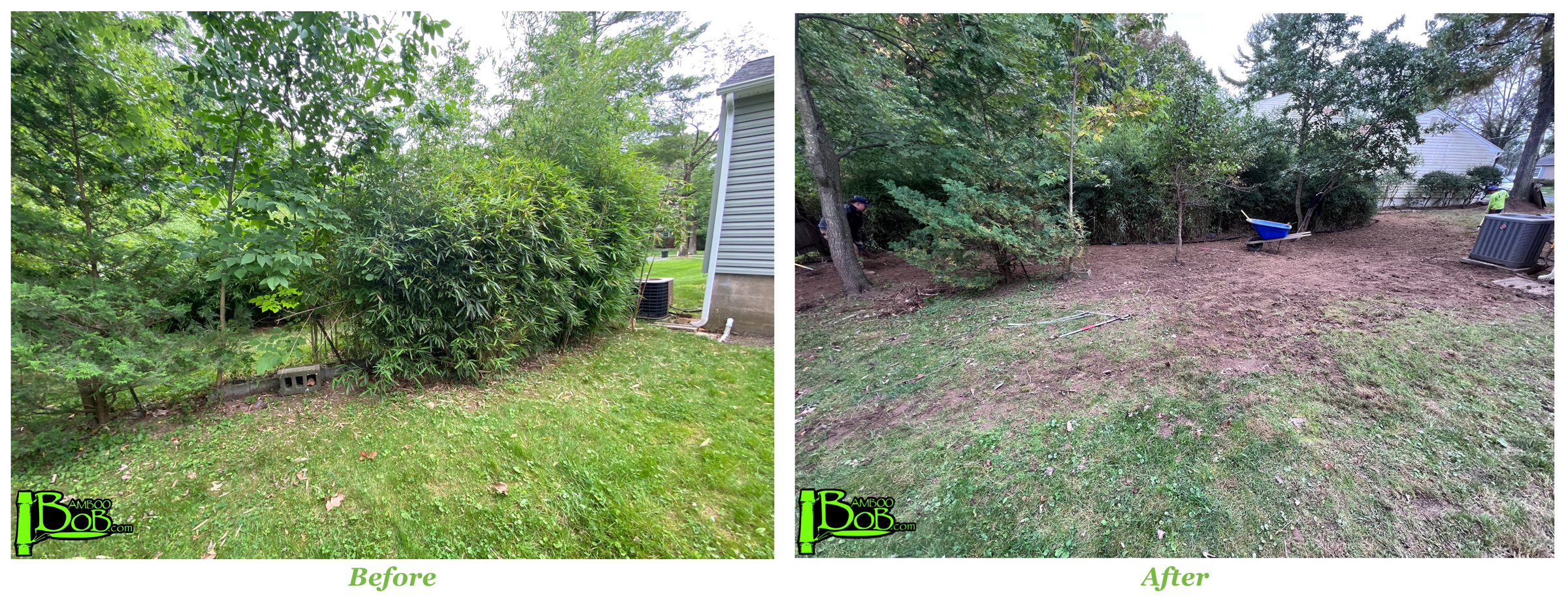 Parsippany, NJ - Before + After